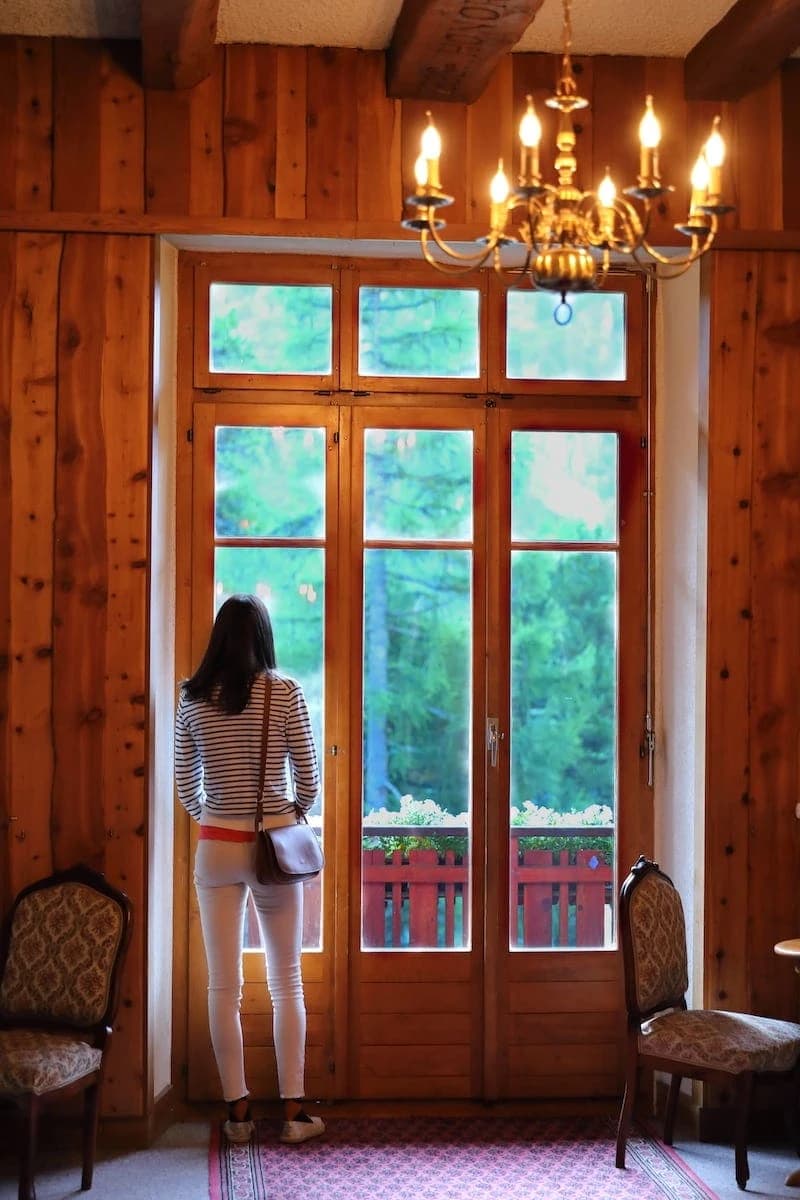 Vue depuis le salon - Fenêtres sur la forêt alpine